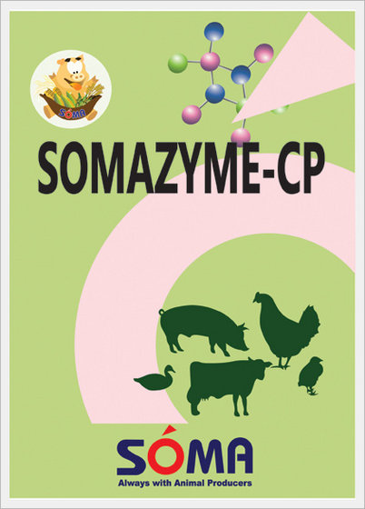 Somazyme-cp  Made in Korea
